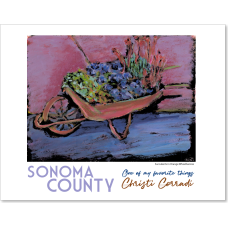 Sonoma County CA - Succulents in Orange Wheelbarrow